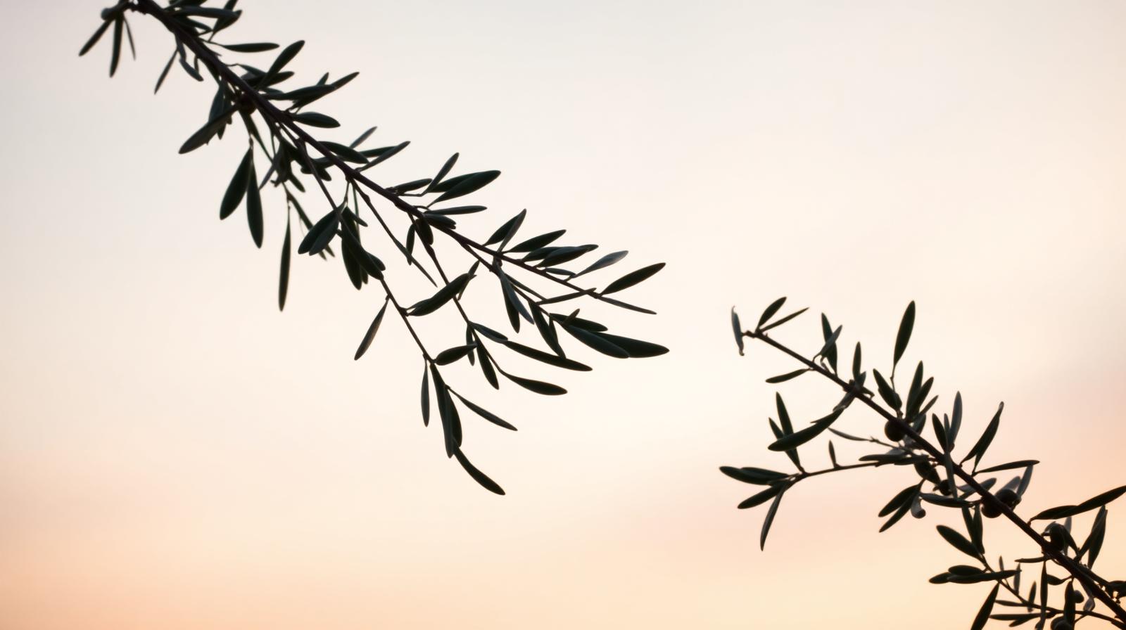 Watercolor of two woven branches leaning toward each other — partnership and repair